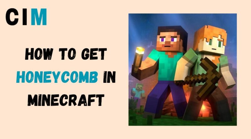 How to Get Honeycomb in Minecraft