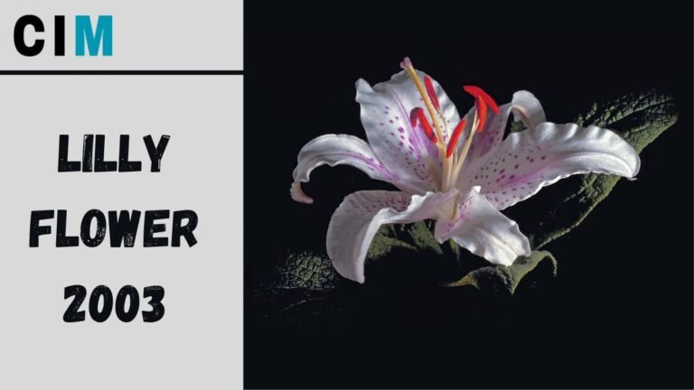 LillyFlower2003