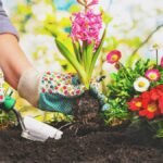 Green Grass Landscaping