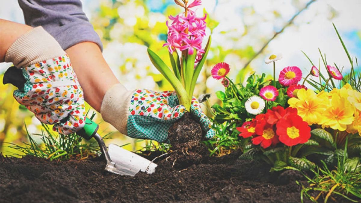 Green Grass Landscaping