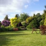 Proven Strategies for Healthy Trees in Your Landscape