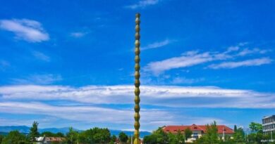 brancusi homeland hoogtepunten privérondleiding vanuit boekarest