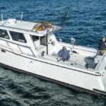 lindell 46 livewell size