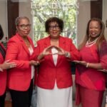 delta sigma theta we care event 2023 broward: Making a Difference in the Community delta sigma theta we care event 2023 broward