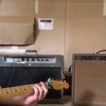 standel a20r vintage amp