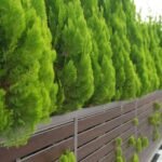 Your Home’s Privacy