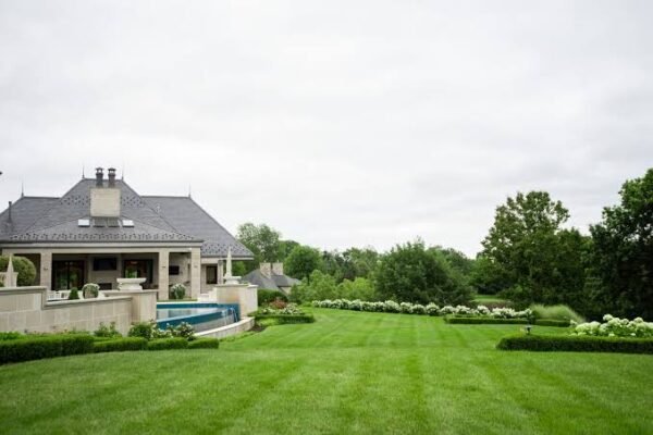 Comprehensive Strategies for Landscape Maintenance